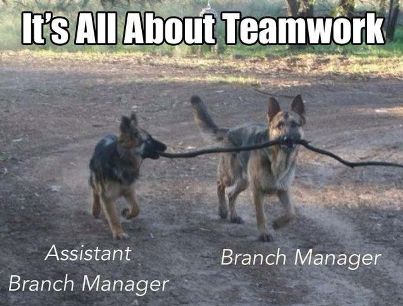 about teamwork